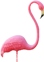 lp flamingo.gif